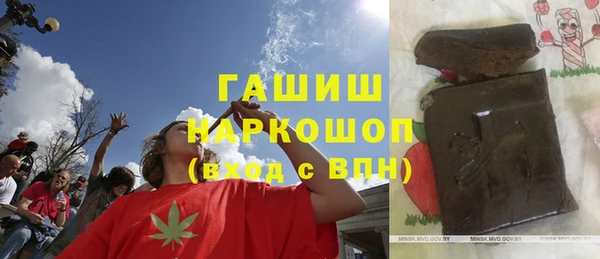 шишки Горняк