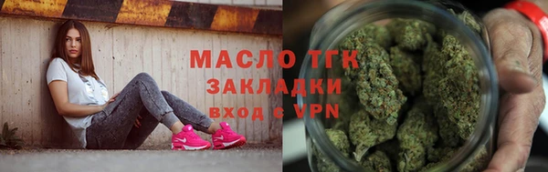 шишки Горняк