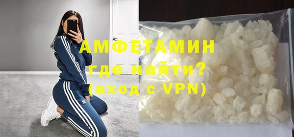 шишки Горняк