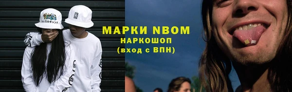 шишки Горняк