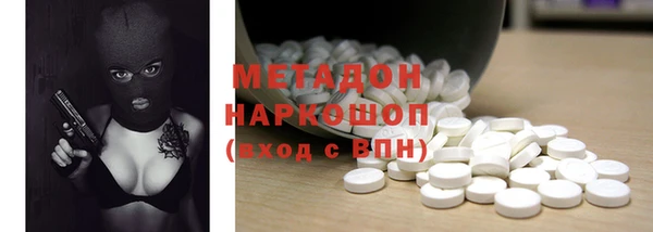 шишки Горняк
