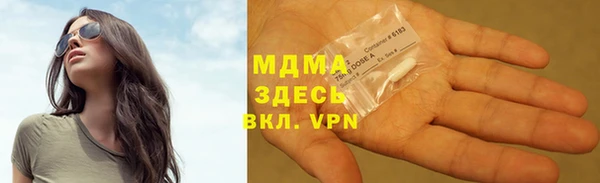 шишки Горняк