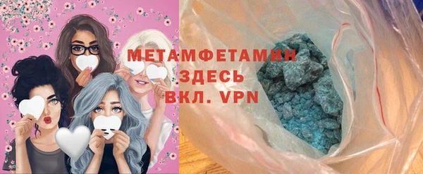 шишки Горняк