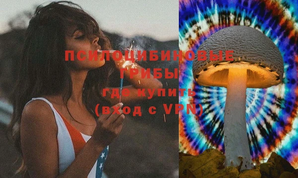 бошки Гусев