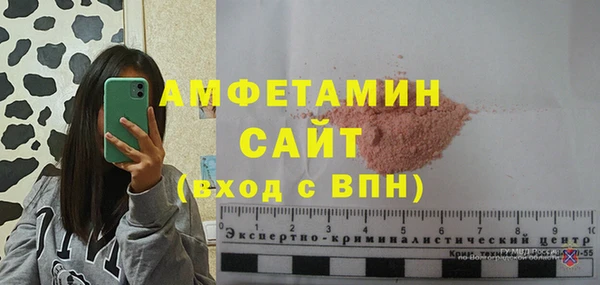 шишки Горняк