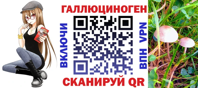 Псилоцибиновые грибы ЛСД  Дальнегорск 